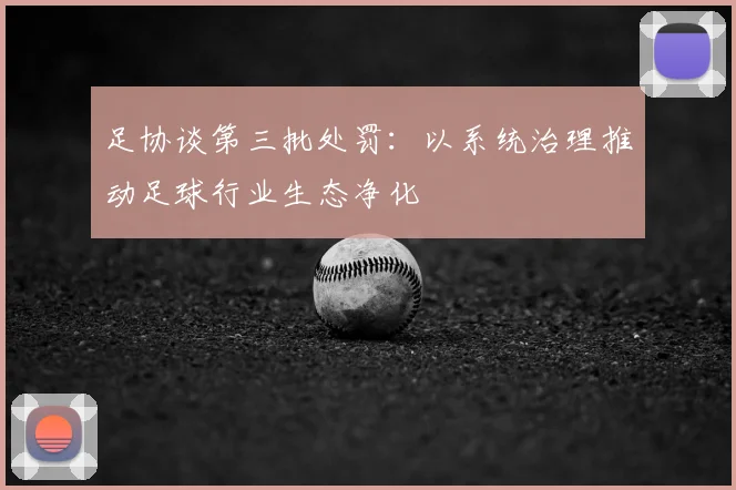 足协谈第三批处罚：以系统治理推动足球行业生态净化