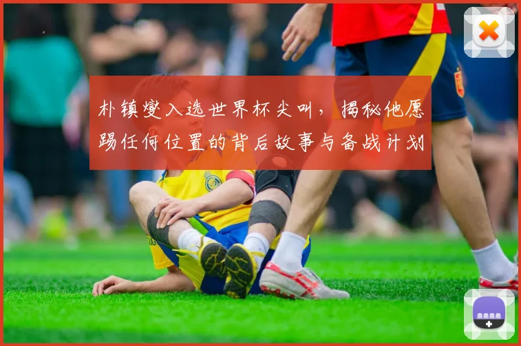 朴镇燮入选世界杯尖叫，揭秘他愿踢任何位置的背后故事与备战计划